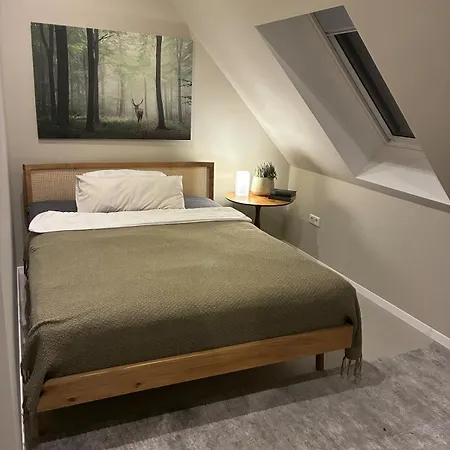 Spacious Sauna And E-bikes Vakantiehuis